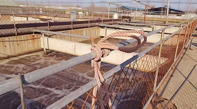 ?雷茨空氣懸浮風(fēng)機(jī)，讓食品廠污水處理節(jié)能30%-50%