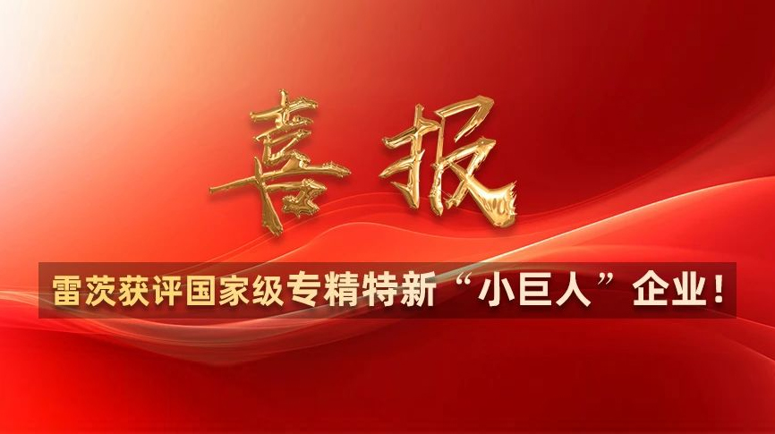 喜報：雷茨獲評國家級專精特新“小巨人”企業(yè)！